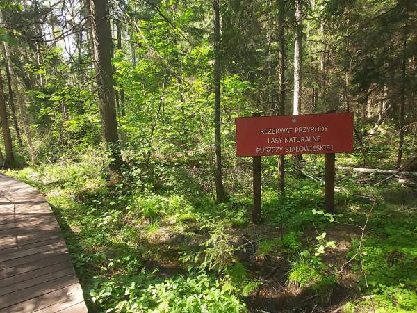 Wiejskie podwórze Ekologiczne gospodarstwo agroturystyczne