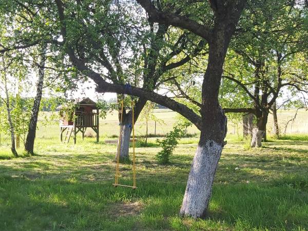 Wiejskie podwórze Ekologiczne gospodarstwo agroturystyczne