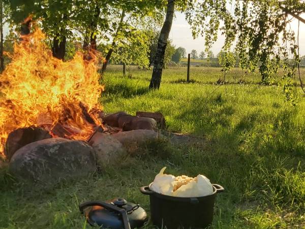 Wiejskie podwórze Ekologiczne gospodarstwo agroturystyczne