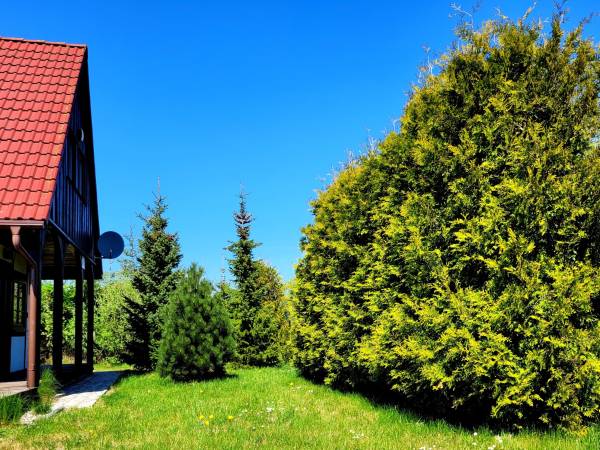 Biała Wydma działka