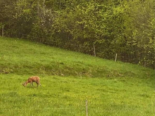 Domek Leniuchowo Rabka-Zdrój 