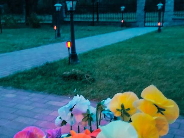 Agroturystyka Pod Sosnami