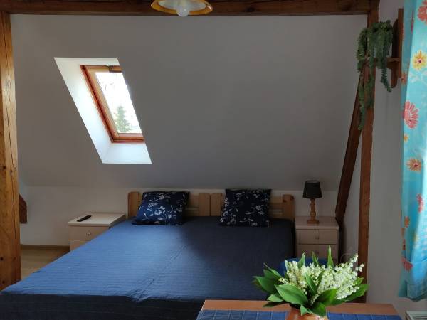 Domek i Pokoje Wilkasy