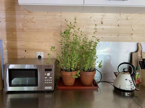 Villa Octopus - Domki Letniskowe