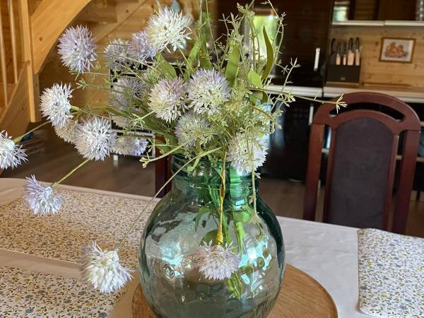 Villa Octopus - Domki Letniskowe