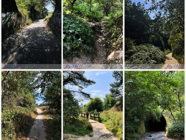 Ale FALE! - park krajobrazowy DOLINA RUDNIKA