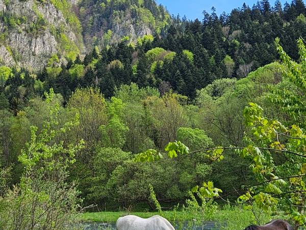 Pienińskie krajobrazy