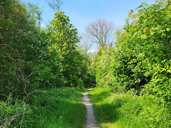 Domki Letniskowe Prima Sort