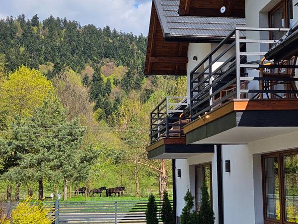 Koniki po sąsiedzku