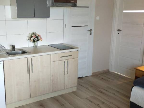 aneks kuchenny w apartamencie dwupokojowym