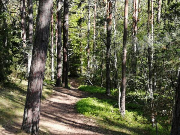 Apartament Bursztynowy