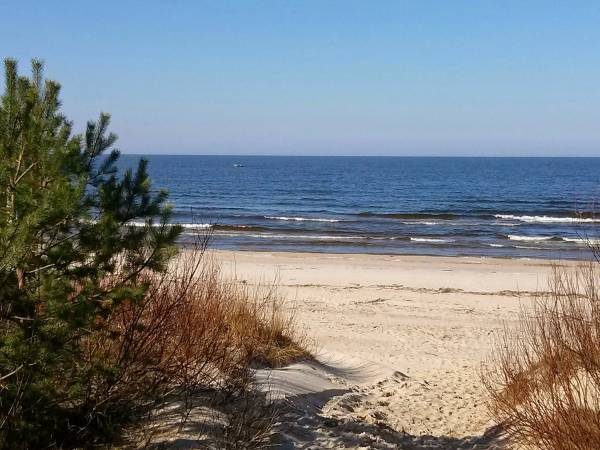 Apartament Bursztynowy