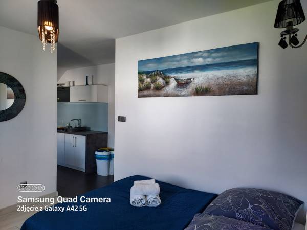 Apartament skandynawski 