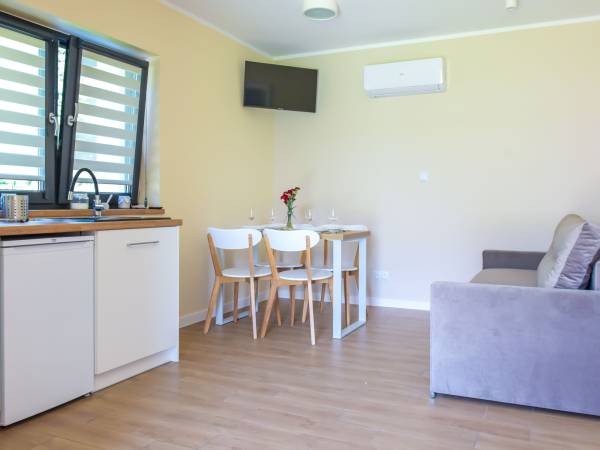 Salon z aneksem kuchennym