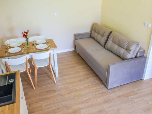 salon z aneksem kuchennym