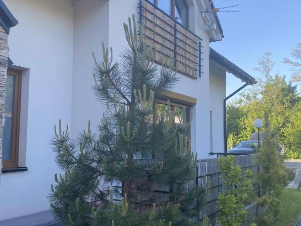 Apartamenty, noclegi Oksana