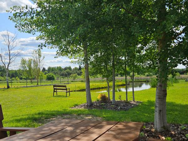 Domek przy Stawie - Podlaski Domek