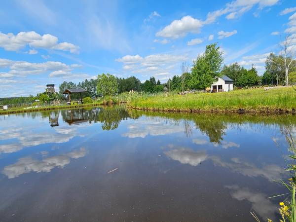 Domek przy Stawie - Podlaski Domek