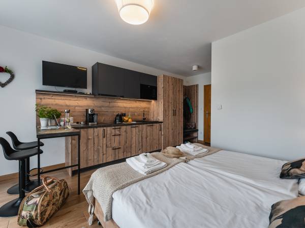 Apartament dwuosobowy z balkonem i widokiem na góry