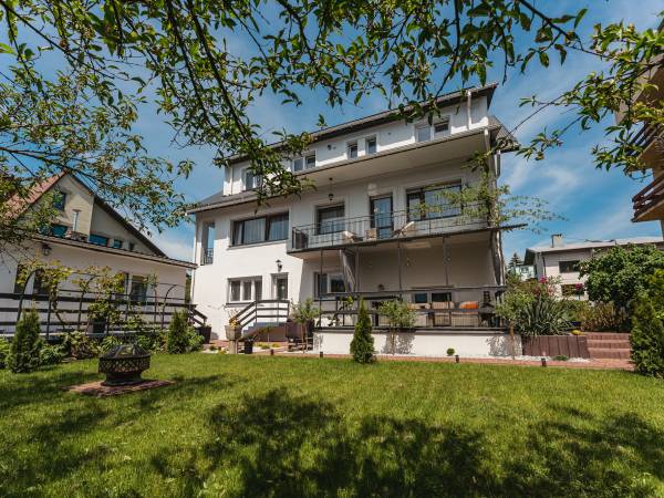 Willa Teresa Busko - Zdrój