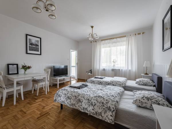 Willa Teresa Busko - Zdrój