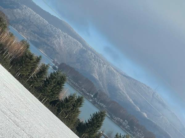 chatki całoroczne- widok