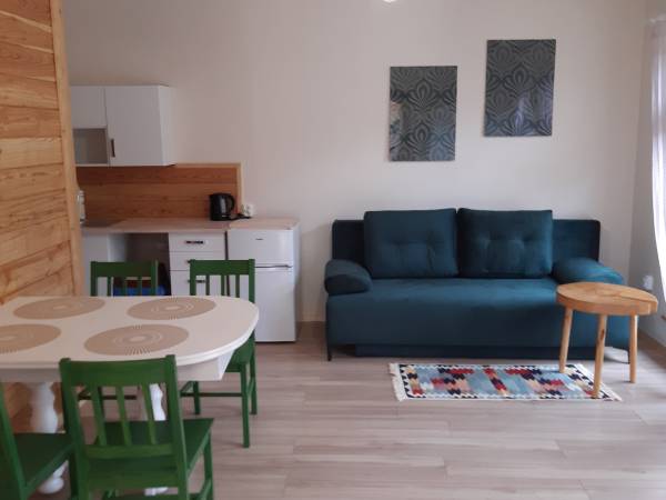 Salon w domku modrzewiowym 