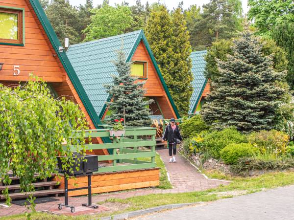 sztutowo blisko plaży przy lesie 