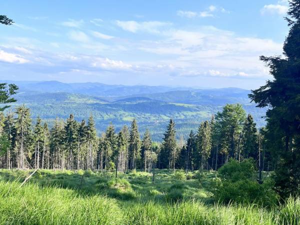 Chata U Ali - Noclegi Milówka, Żywiec