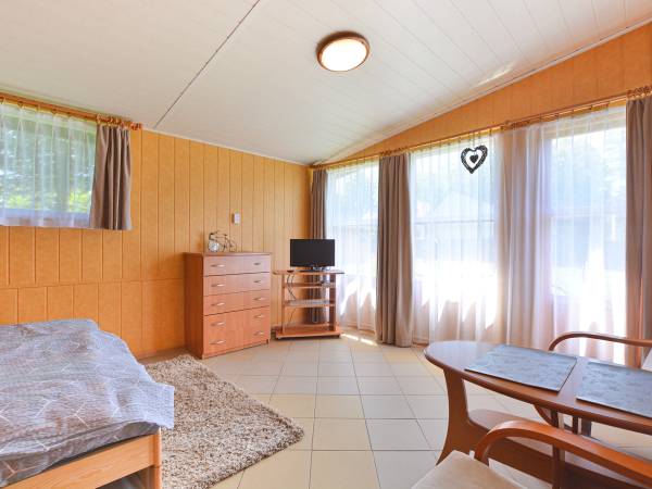 POD SKAMIENIAŁYM MIASTEM 