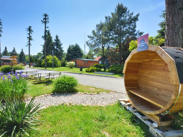 POD SKAMIENIAŁYM MIASTEM 