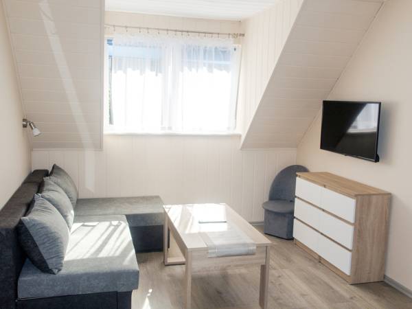 Apartament dwupokojowy nr 2 - Salon