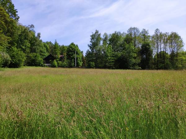 widok na dom z okolicy