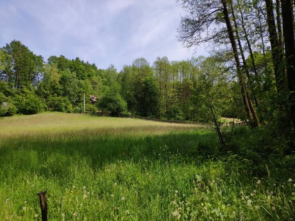 widok na dom z okolicy