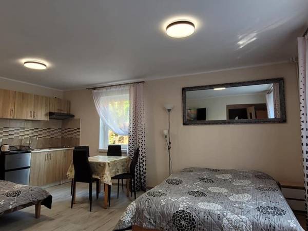 studio 30m2 w obiekcie Lotos