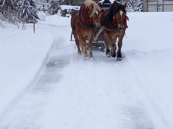 Domki w Dolinie Olzy Istebna