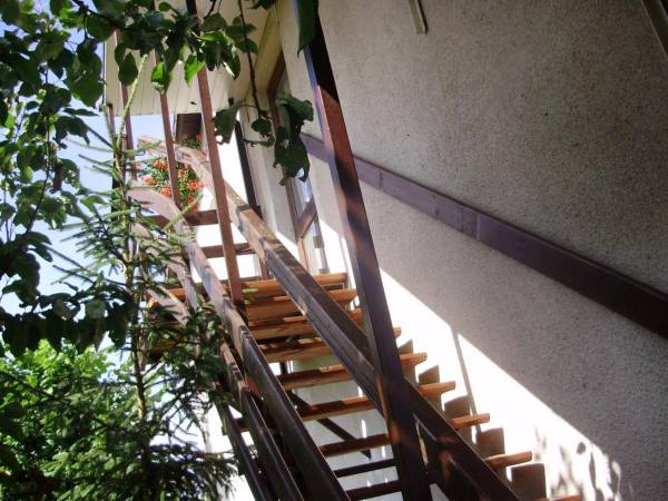 Agroturystyka u Adasia i Marysi