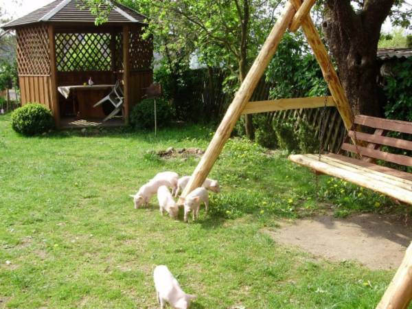 Agroturystyka u Adasia i Marysi