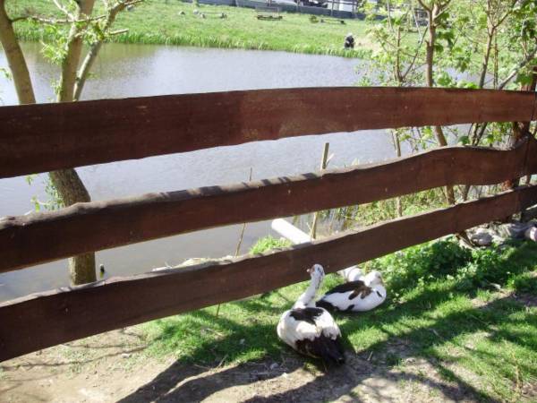 Agroturystyka u Adasia i Marysi