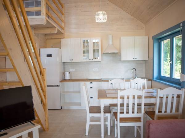 Domki letniskowe Brzezina