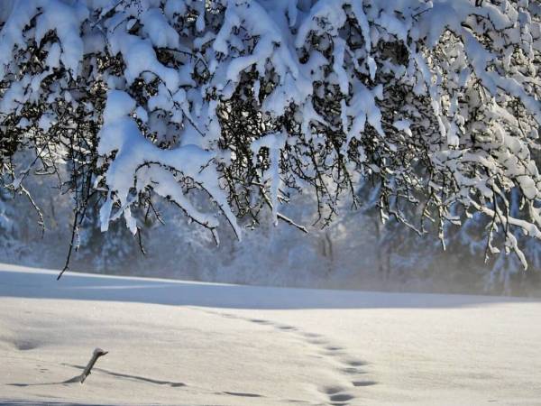 Agroturystyka u Adasia i Marysi