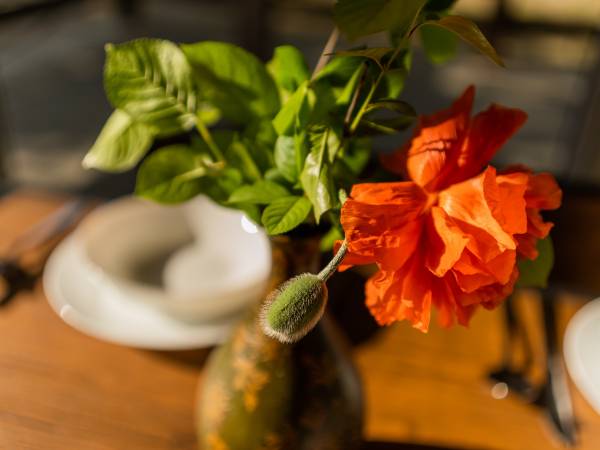 Zagajnik Białowieża