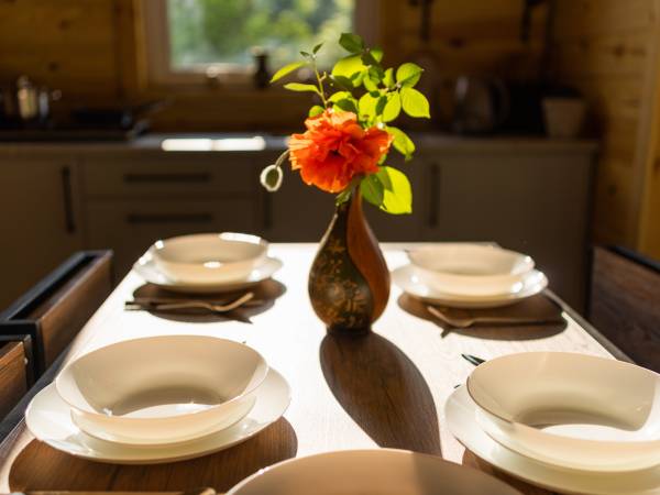 Zagajnik Białowieża