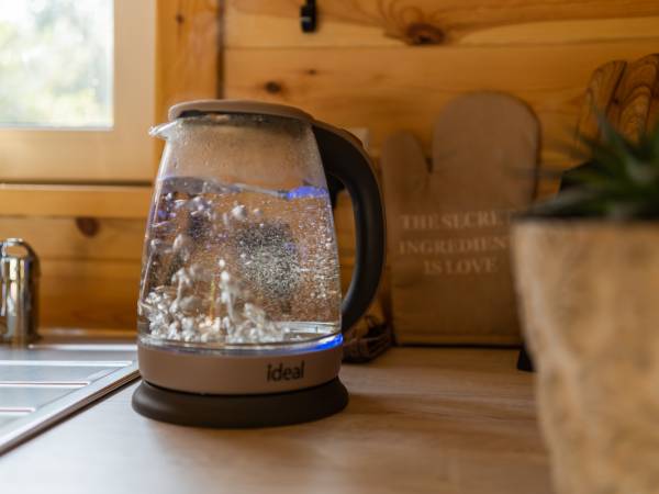 Zagajnik Białowieża