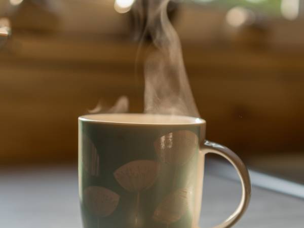 Zagajnik Białowieża