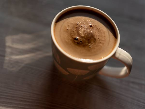 Zagajnik Białowieża