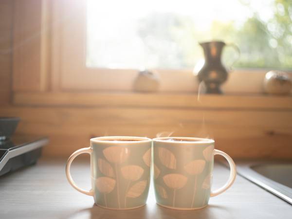 Zagajnik Białowieża