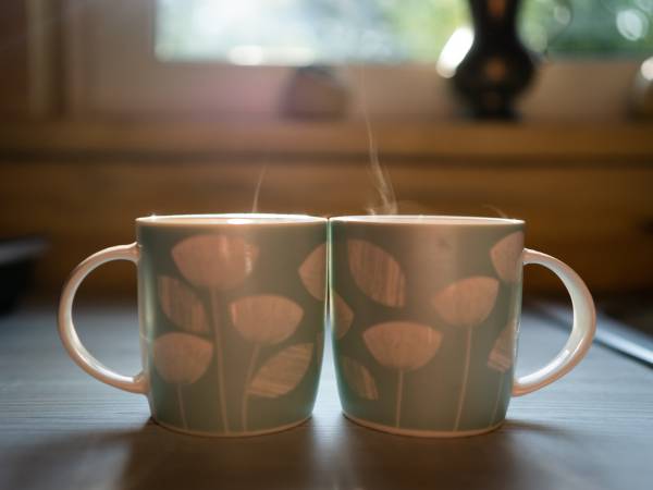 Zagajnik Białowieża