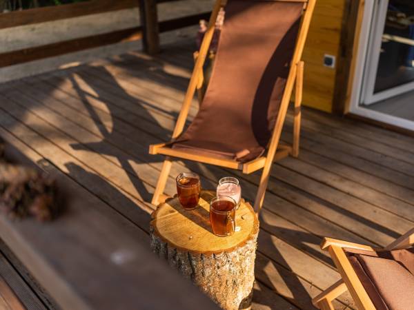 Zagajnik Białowieża