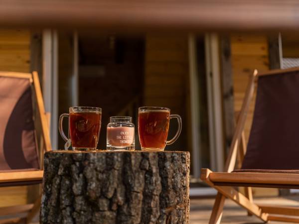 Zagajnik Białowieża